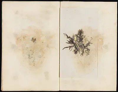 p. 54