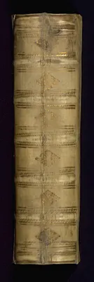 p. 6