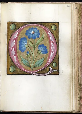 Leaf from Alphabet Book
