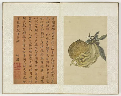 p. 25