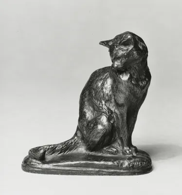 Seated Cat