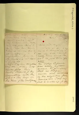 p. 43
