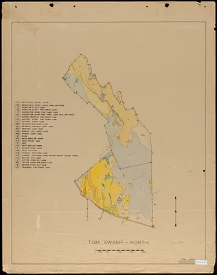 Tom Swamp North soils map 1944
