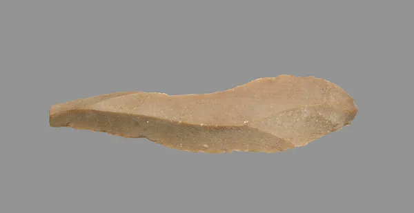 Sickle Blade