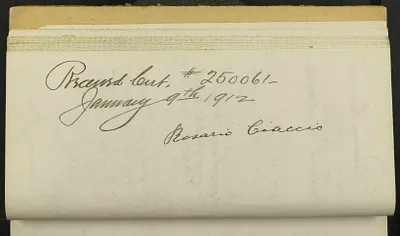 p. 24