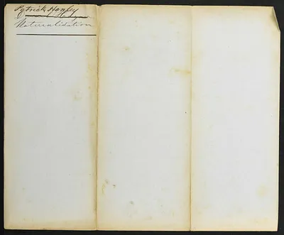 p. 4