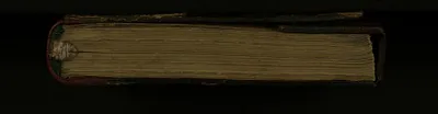 p. 8