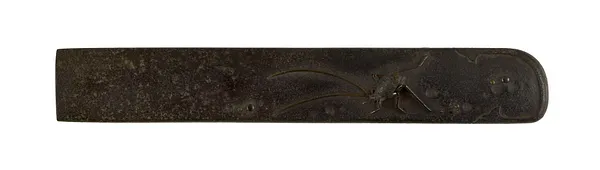 Kozuka with a Cricket