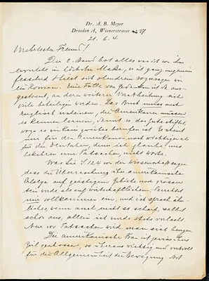 Meyer, Adolf Bernhard, 1840-1911 autograph letter signed to Hugo Münsterberg, Dresden, Ger., 21 June 1904