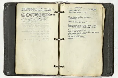 p. 43
