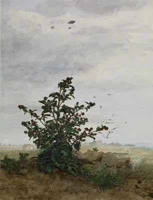 p. 3