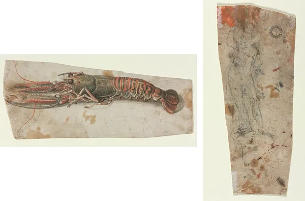 Lobster (recto) Sketch of an Armoured Male Figure (verso)