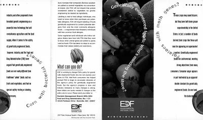 p. 23