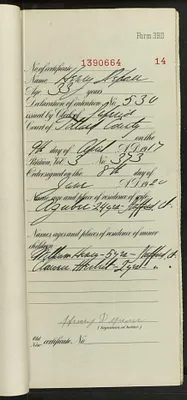 p. 15