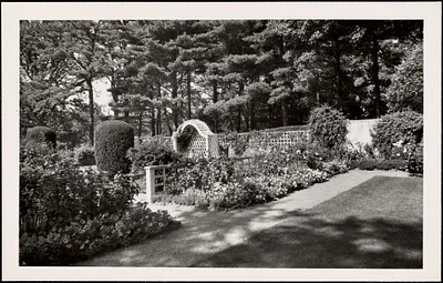 Portion of lawn bordered by a pathway and flowering plants and shrubs