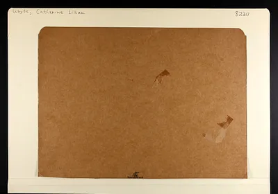 p. 3