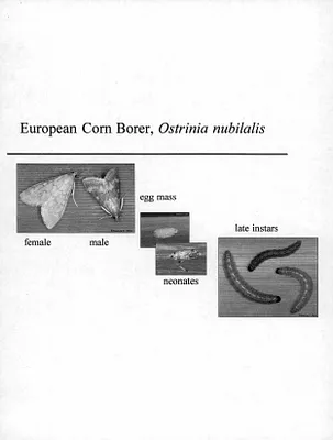 p. 10