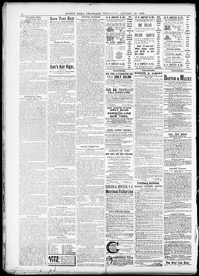 Boston Daily Traveller