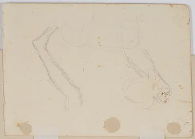 p. 2
