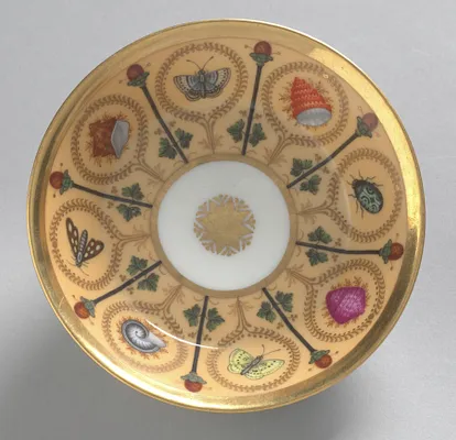 Saucer