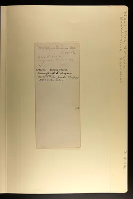 p. 4