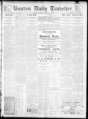 Boston Daily Traveller