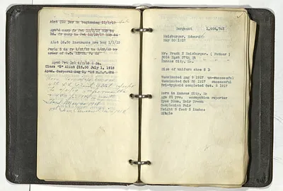 p. 11