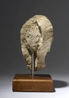p. 5