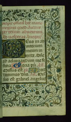p. 8