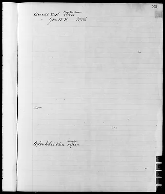 p. 31