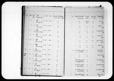 p. 25
