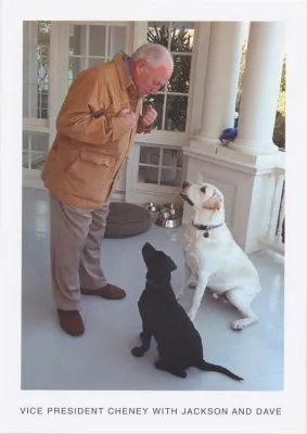 Baseball Cards - Vice Presidential Pets