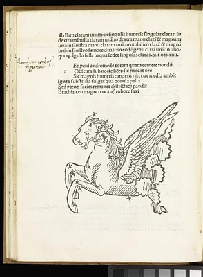 p. 28