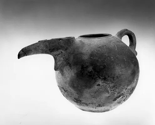 Vase with Bird-headed Spout