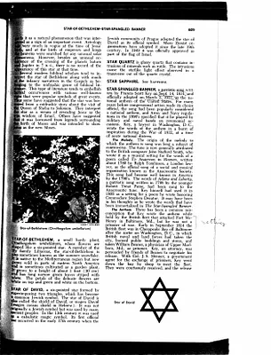 p. 45