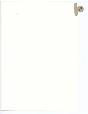 p. 41