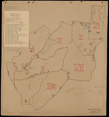 Prospect Hill Block-Plantations - 1917