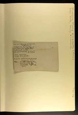 p. 5