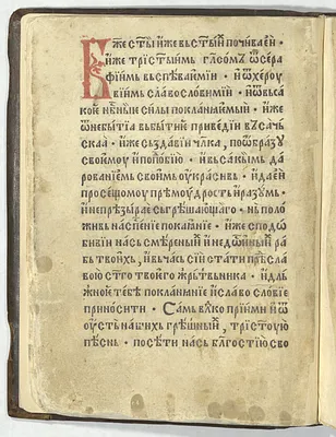 p. 26