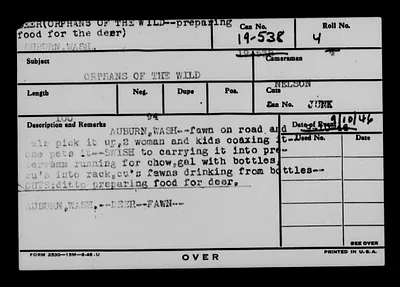 p. 45
