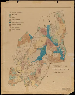 Prospect Hill Stand Map - 1937