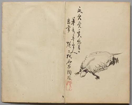 Tortoise from Sketch Album