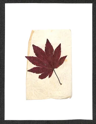 p. 15