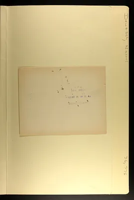 p. 19