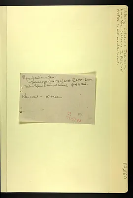 p. 29