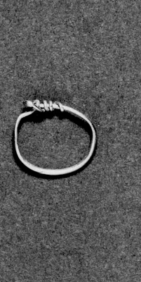 Hoop Earring