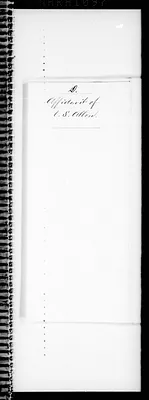 p. 31