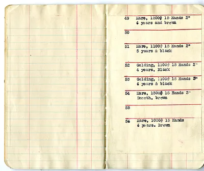 p. 7