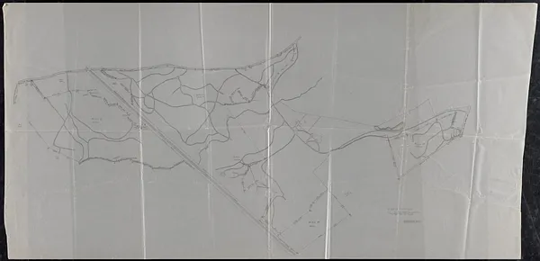 Resurvey of Matthews Plantation, 1974