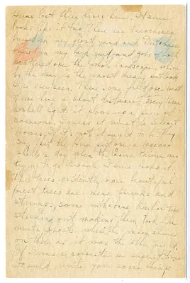 p. 4